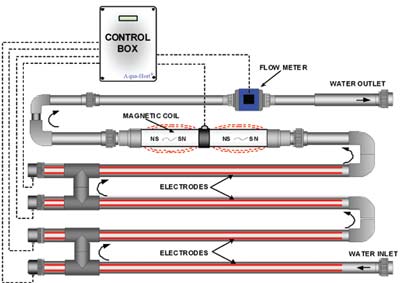 Copper ionization system