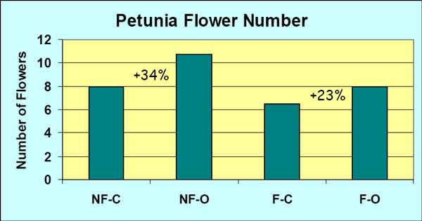 Effect of super-oxygenated water on the average total flower weight per petunia plant chart